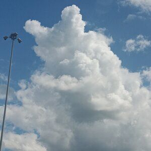 Meet your Posher, Beck